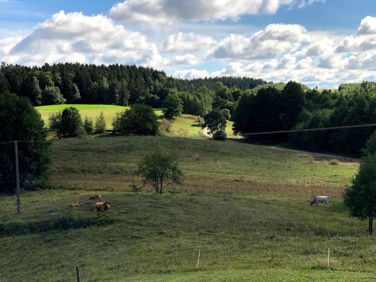 Polimony - Dom Nad Jeziorem Z Prywatnym Pomostem Polimonie Esterno foto